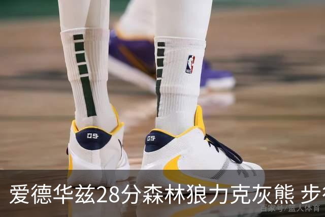 爱德华兹28分森林狼力克灰熊 步行者险胜国王