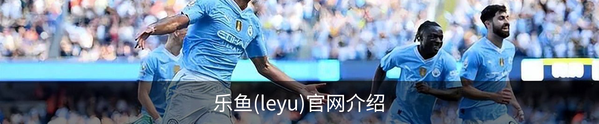 乐鱼(leyu)官网介绍